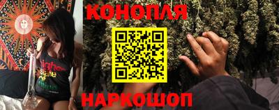 гашик Жуковский