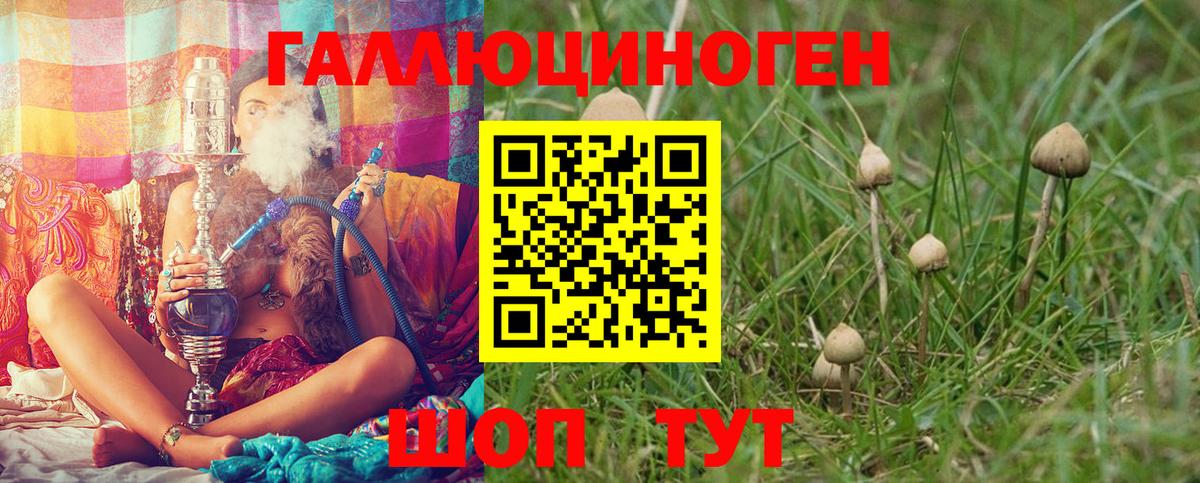 Псилоцибиновые грибы прущие грибы  Галлюциногенные грибы Magic Shrooms  Миасс  Вход с VPN 