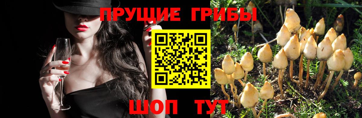 Галлюциногенные грибы Magic Shrooms Миасс